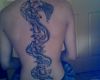 snake and back bone tattoo on back